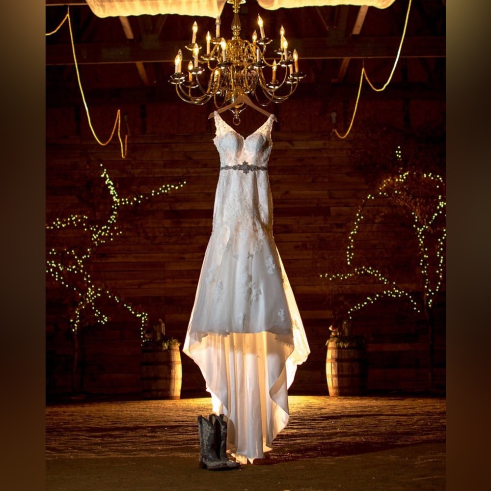 Well preserved David’s Bridal fit to flare dress with cathedral veil